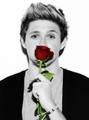 Niall20
